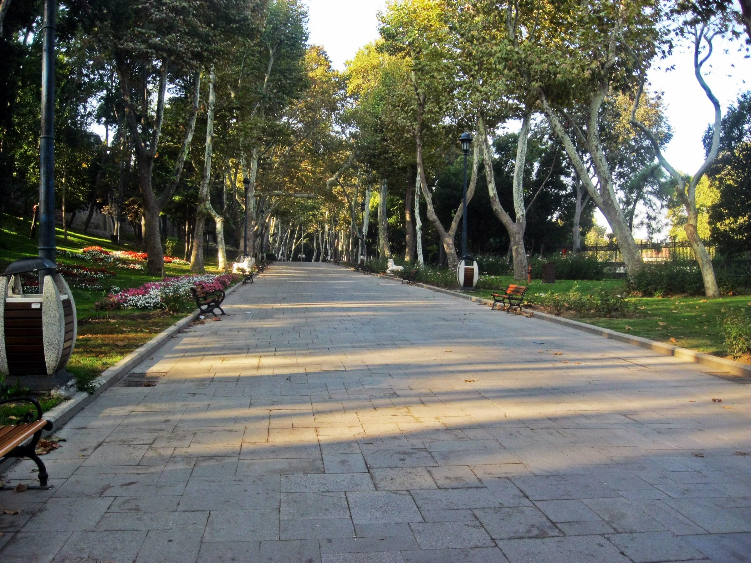 The plane-tree avenue running through Gülhane Park
