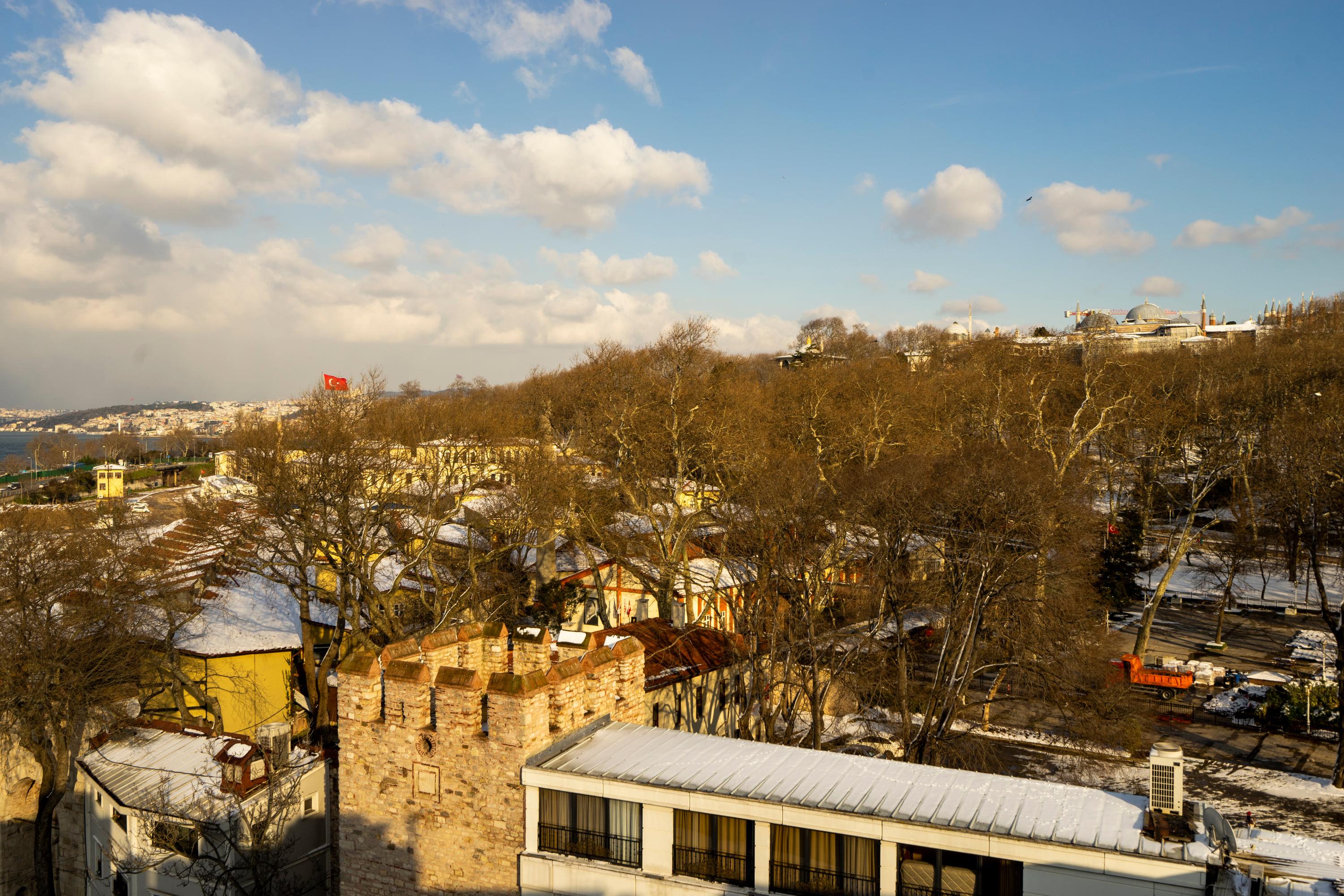 The wooded ridge of Topkapı Palace above the historic sea wall